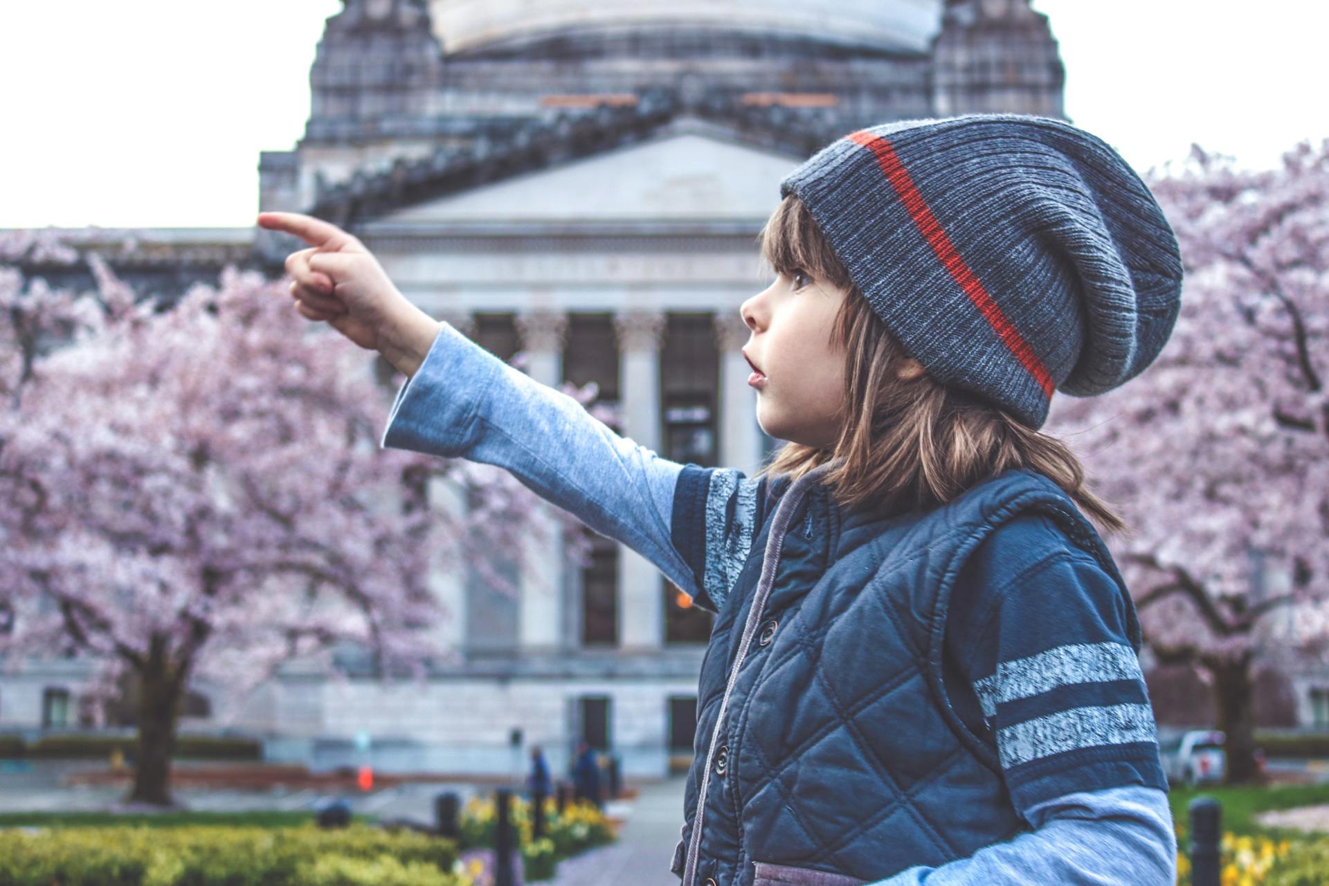 Pexels-Pixabay-415242