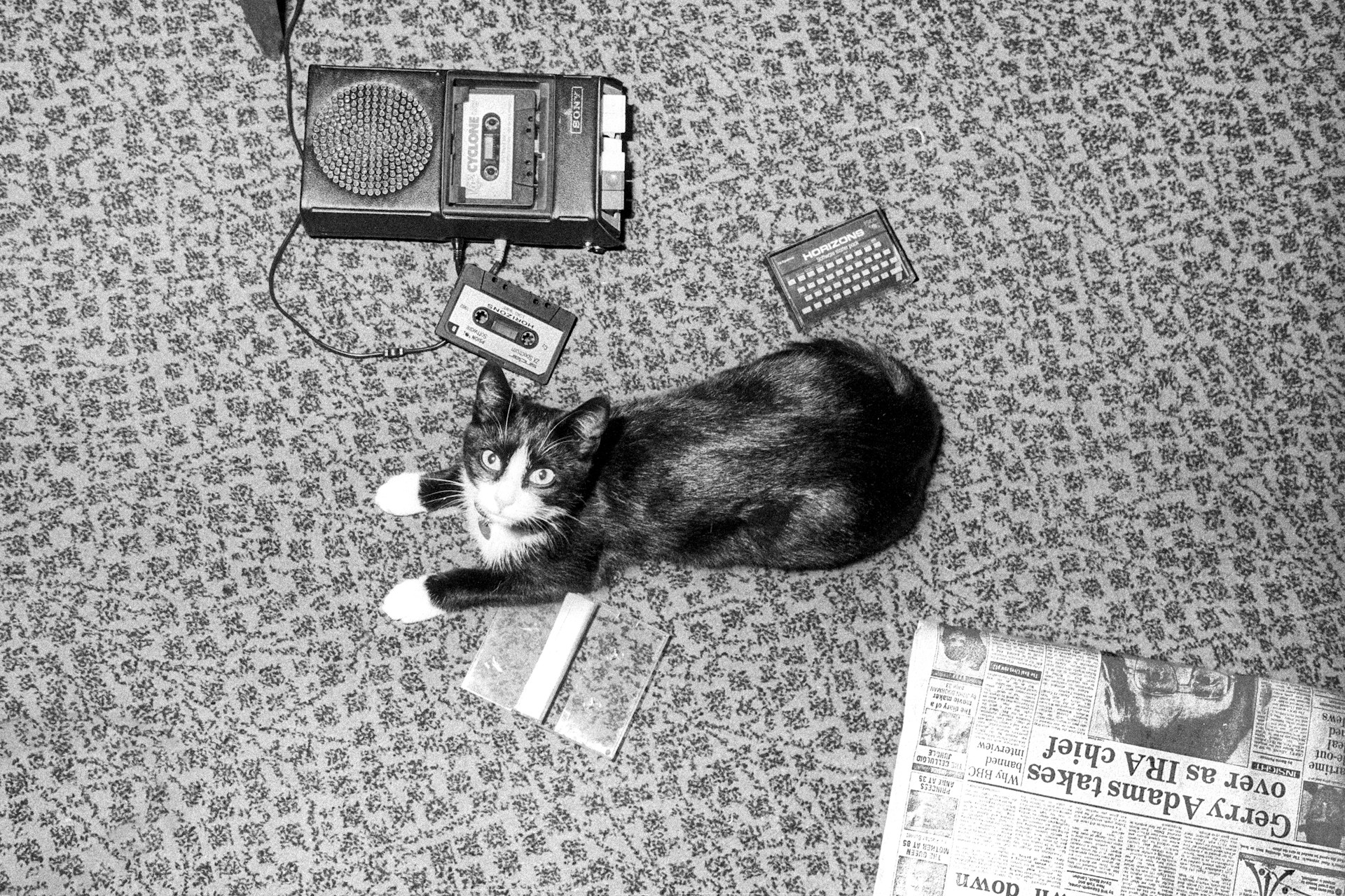 Gavin-Allanwood-K8O8Sdqzule-Unsplash