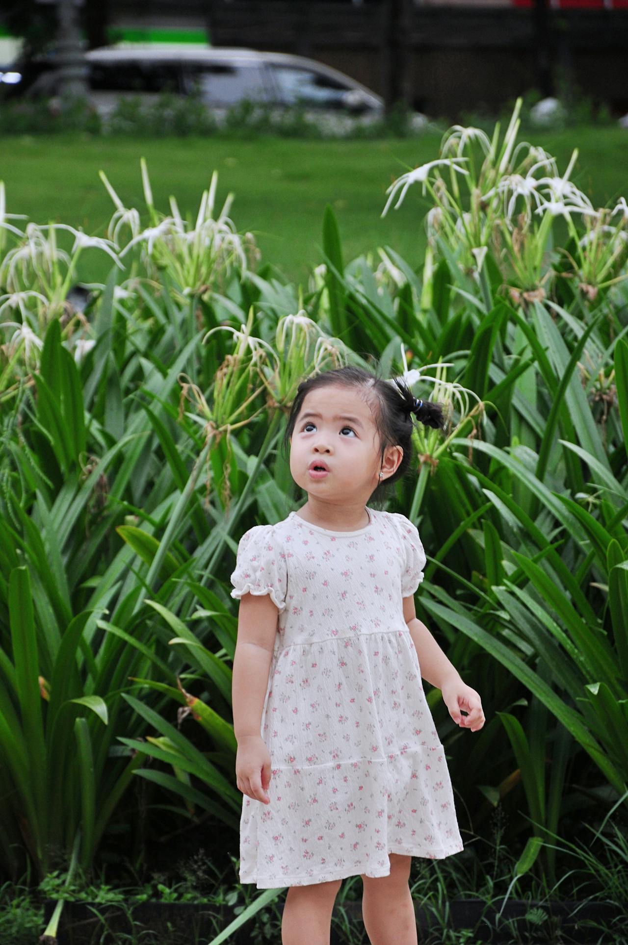 Pexels-Toan-Nguyen-470437710-27329547