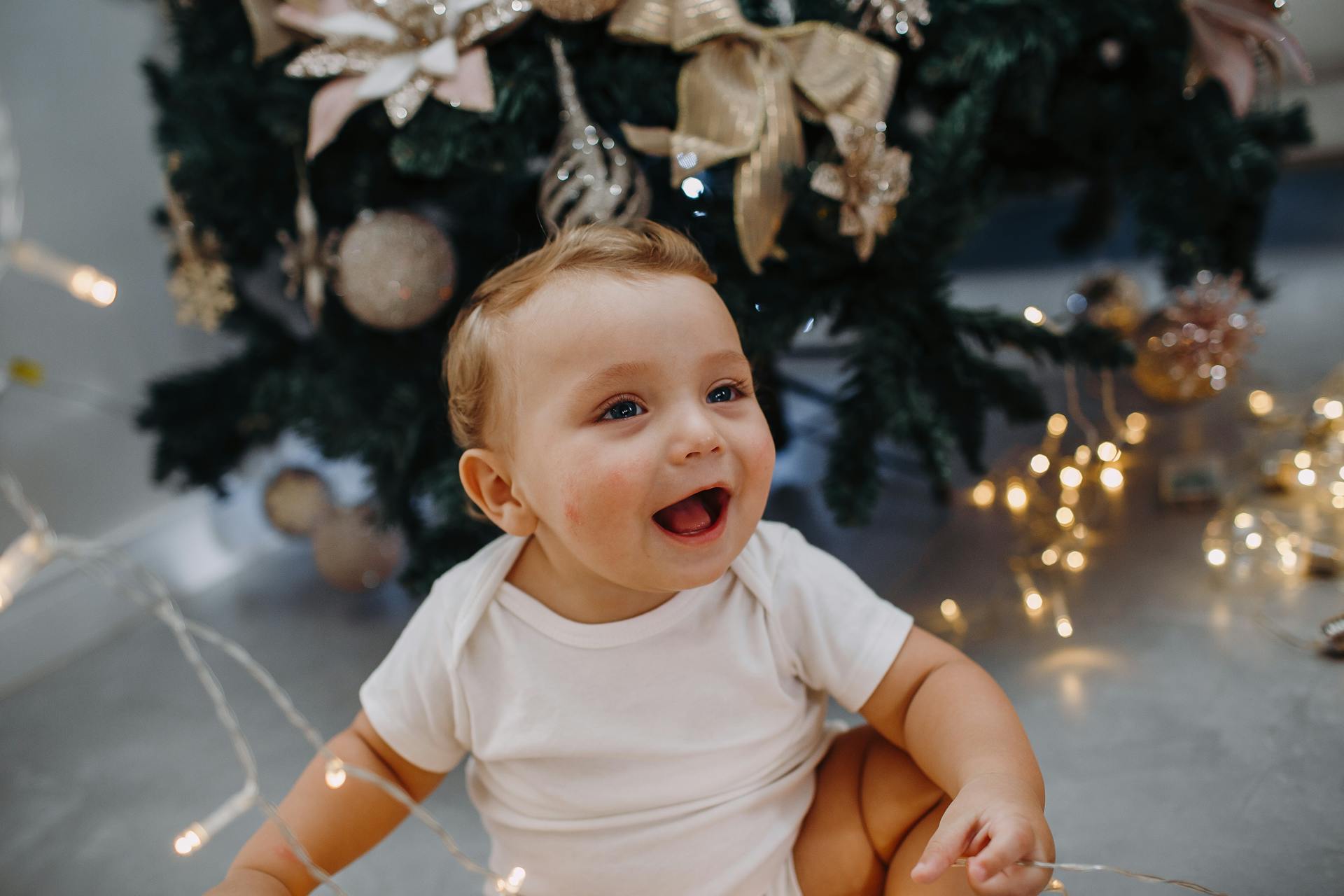 Pexels-Wildlittlethingsphoto-27086425