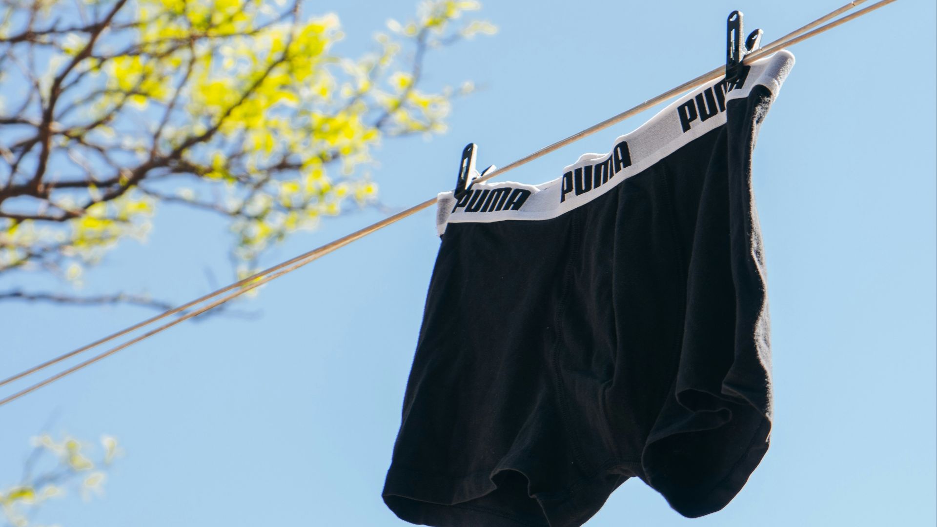 black and white shorts hanging on clothes line