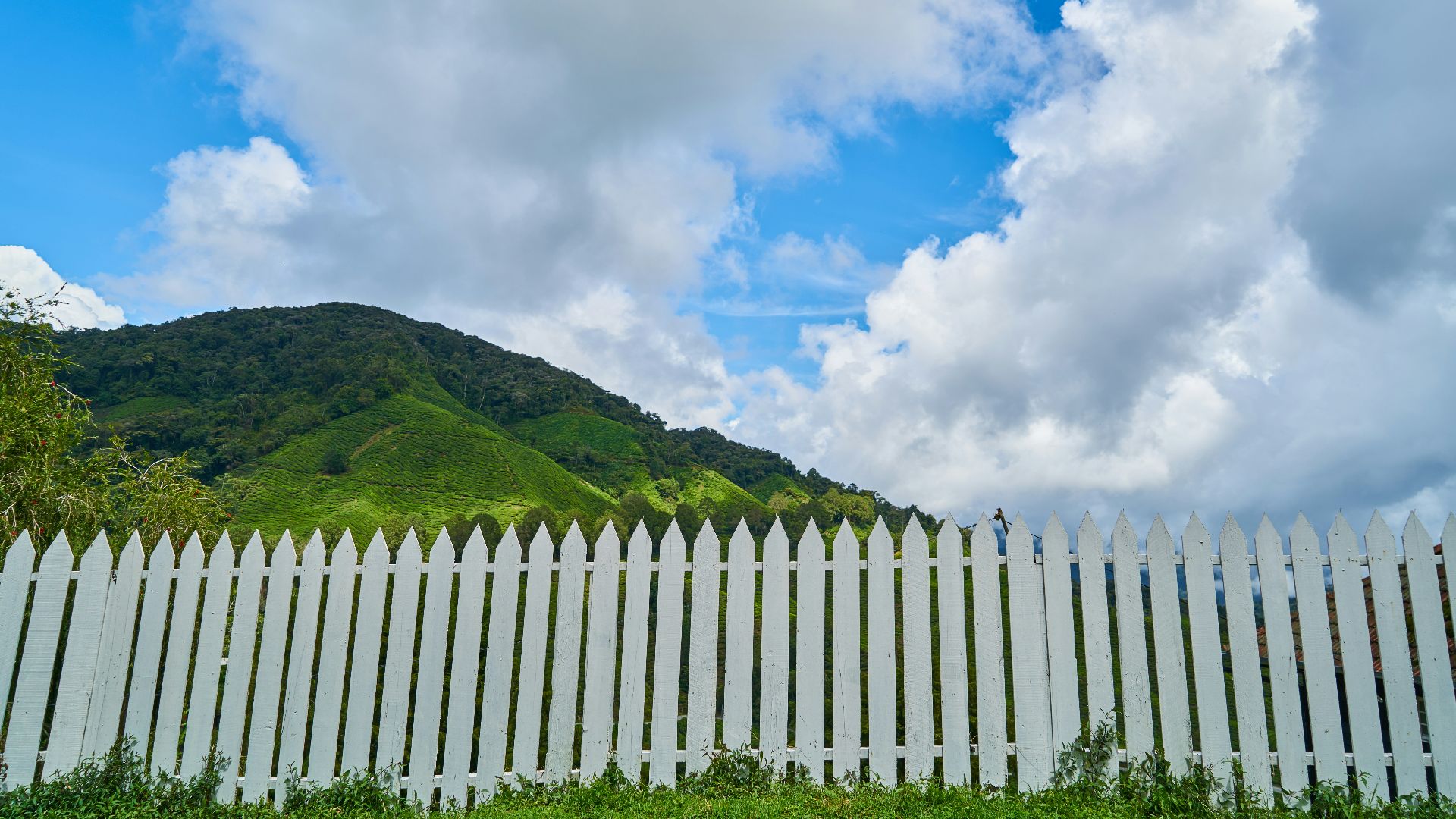 green mountain under white clouds and blue sky during daytime