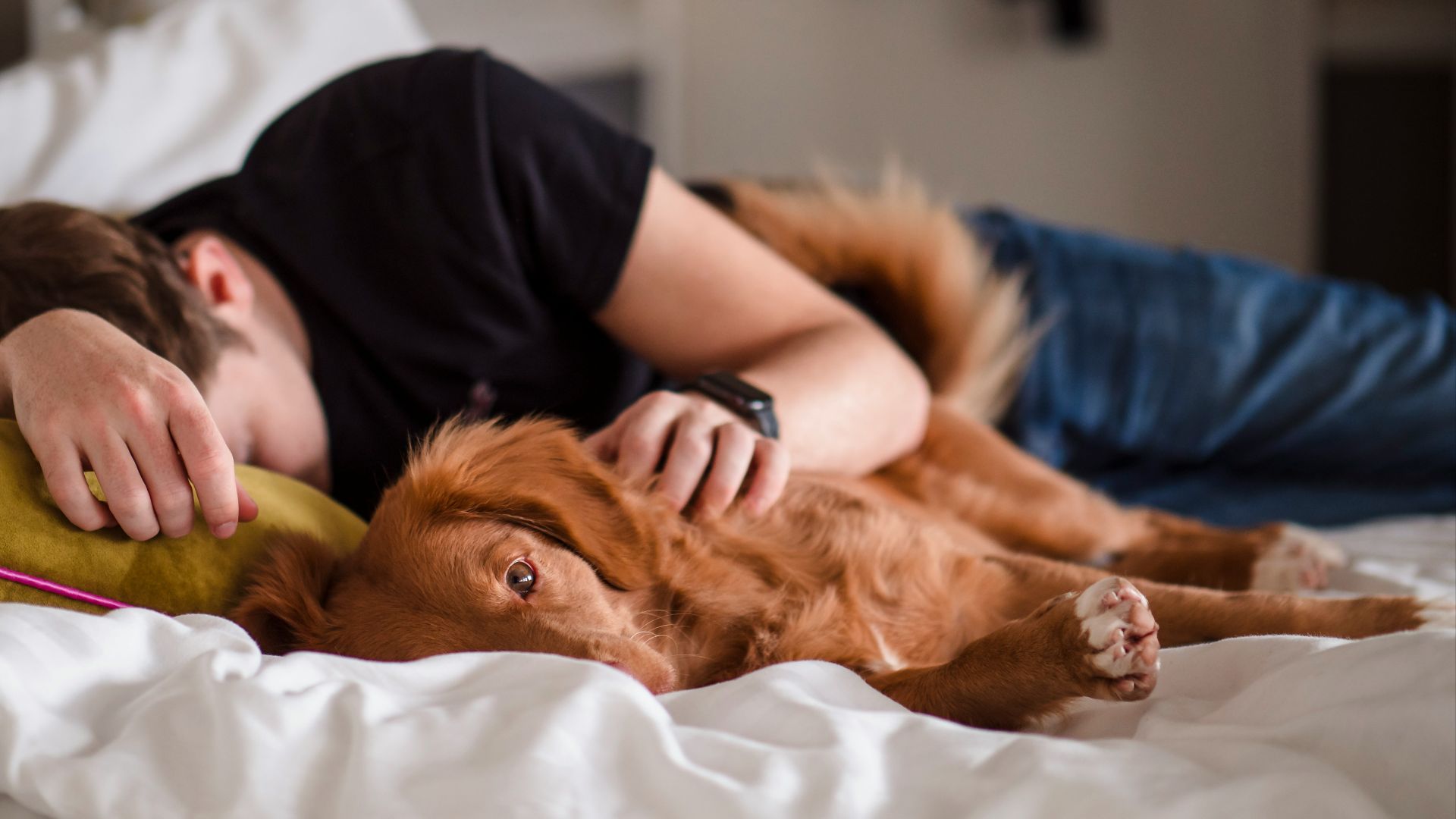 person in black shirt lying on bed
