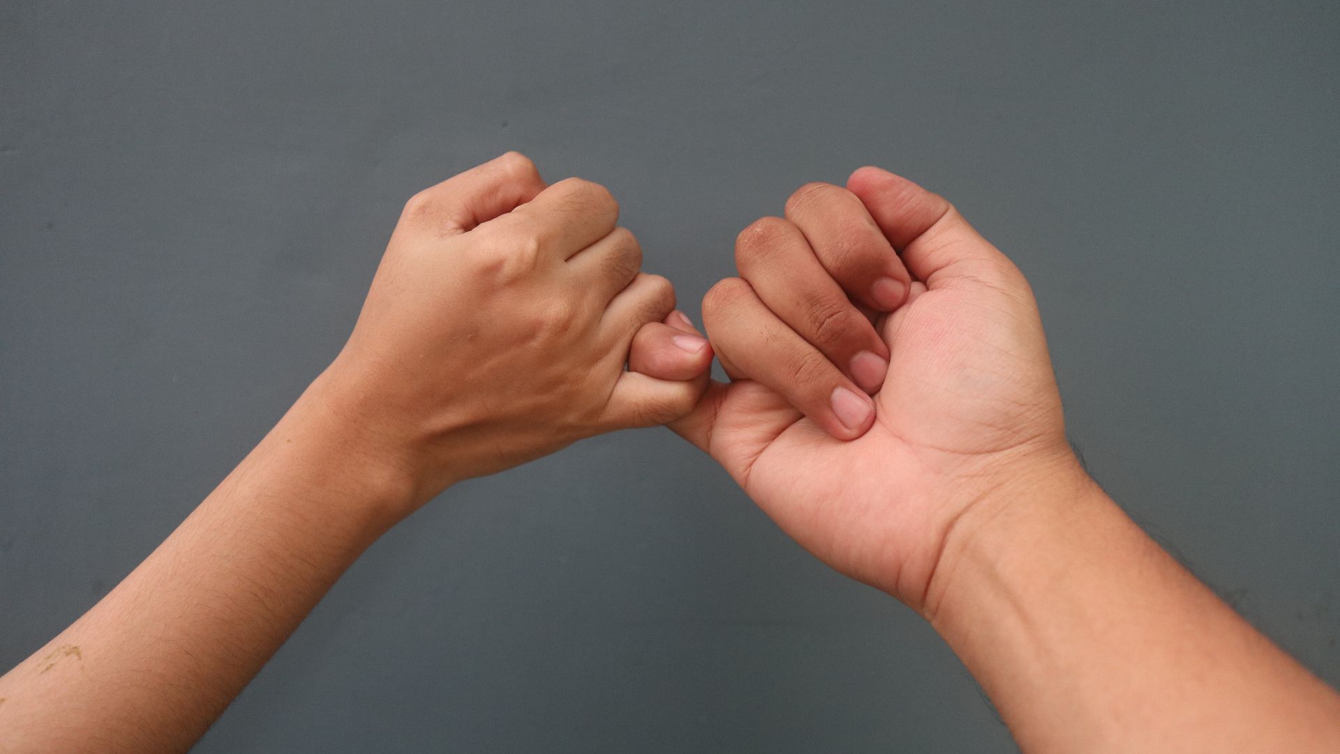 File:Janji jentik.jpg