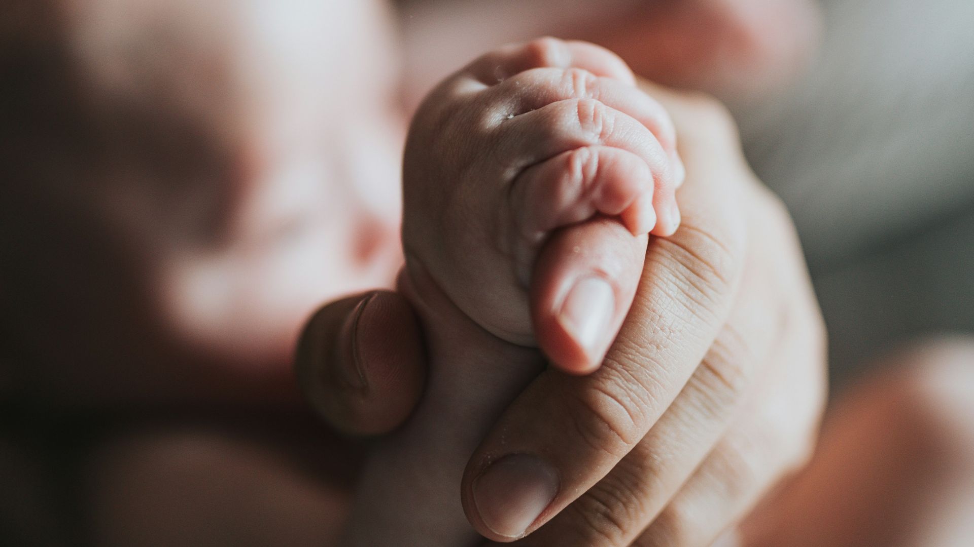 person holding babys feet