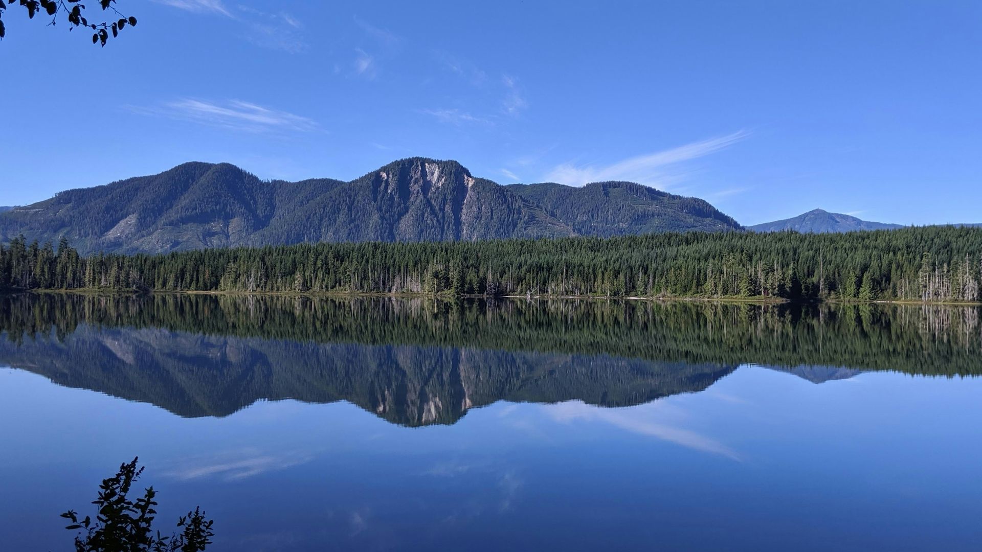 green trees near lake under blue sky during daytime
