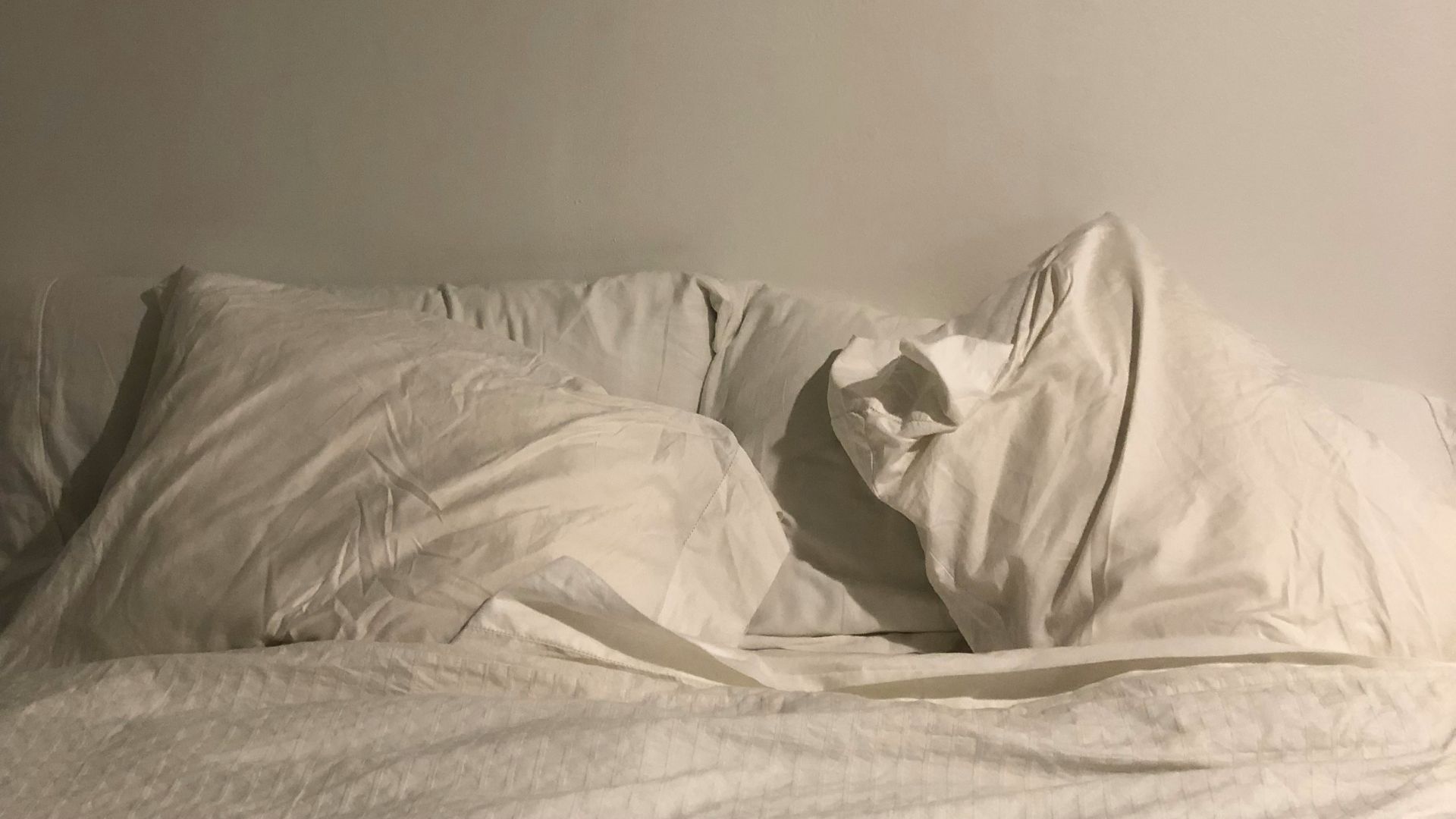 an antelope head hangs on the wall above a bed