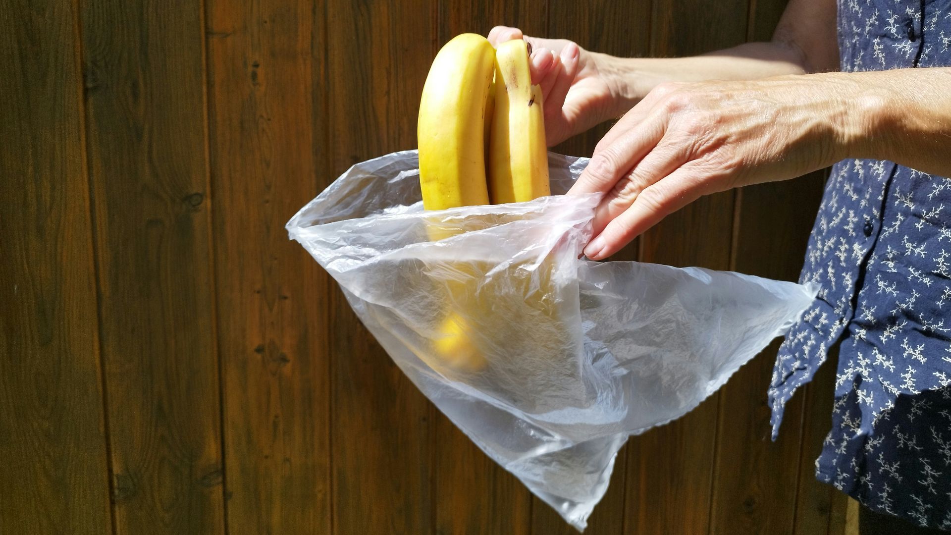 a person holding a plastic bag with bananas in it