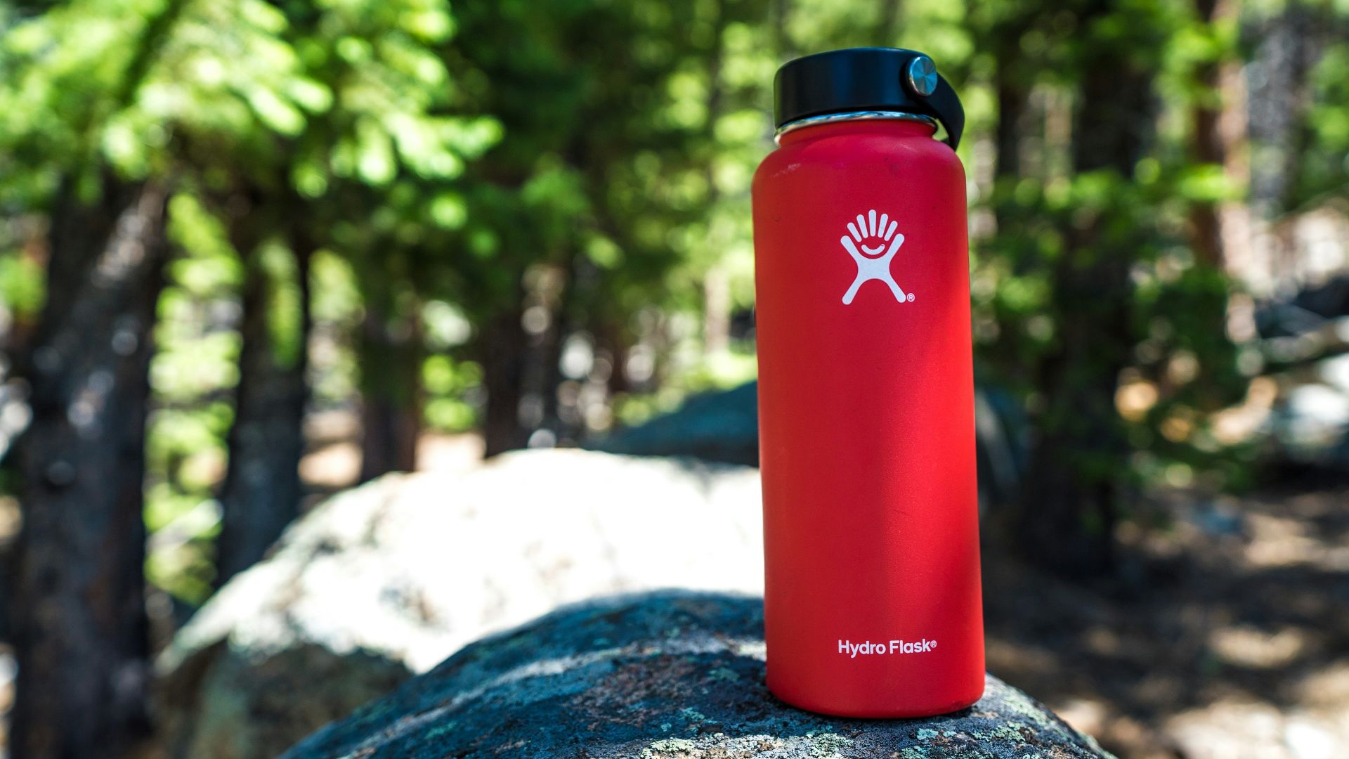 red and black plastic hydro flask on rock
