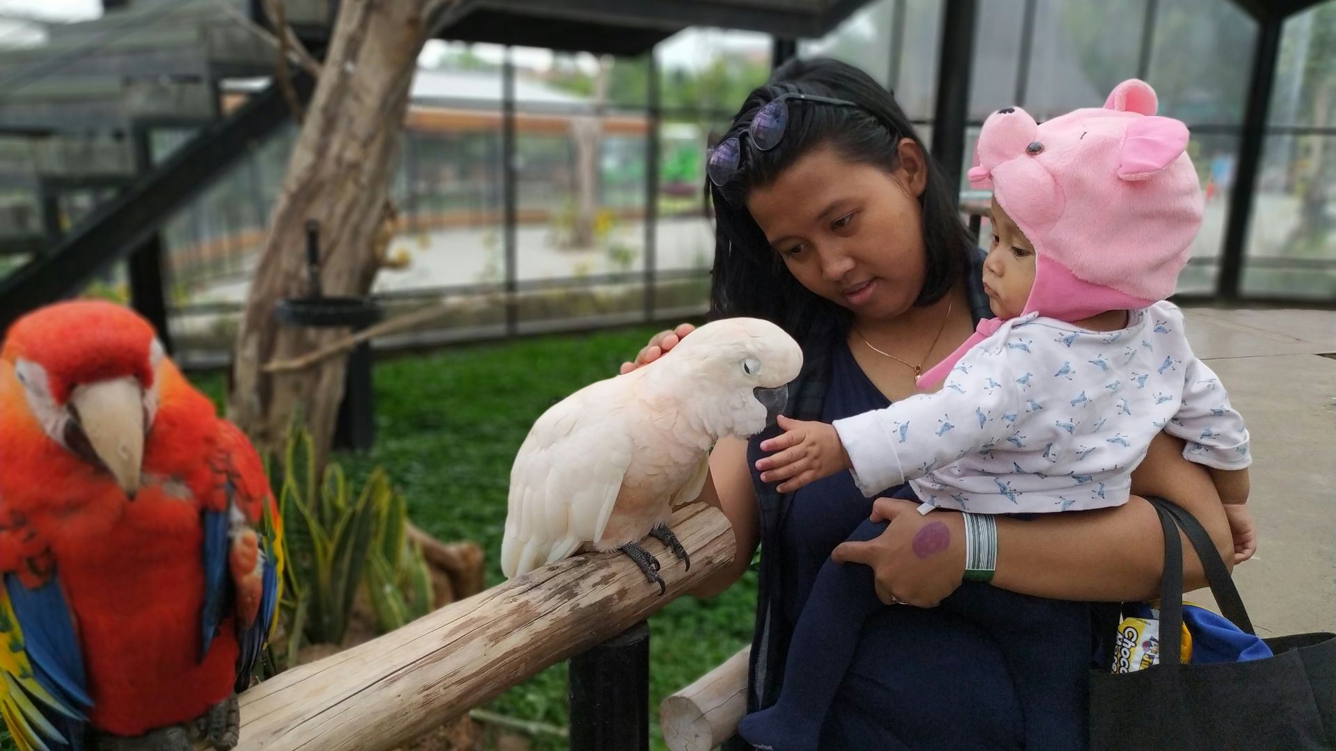 girl in blue and pink shirt holding white bird