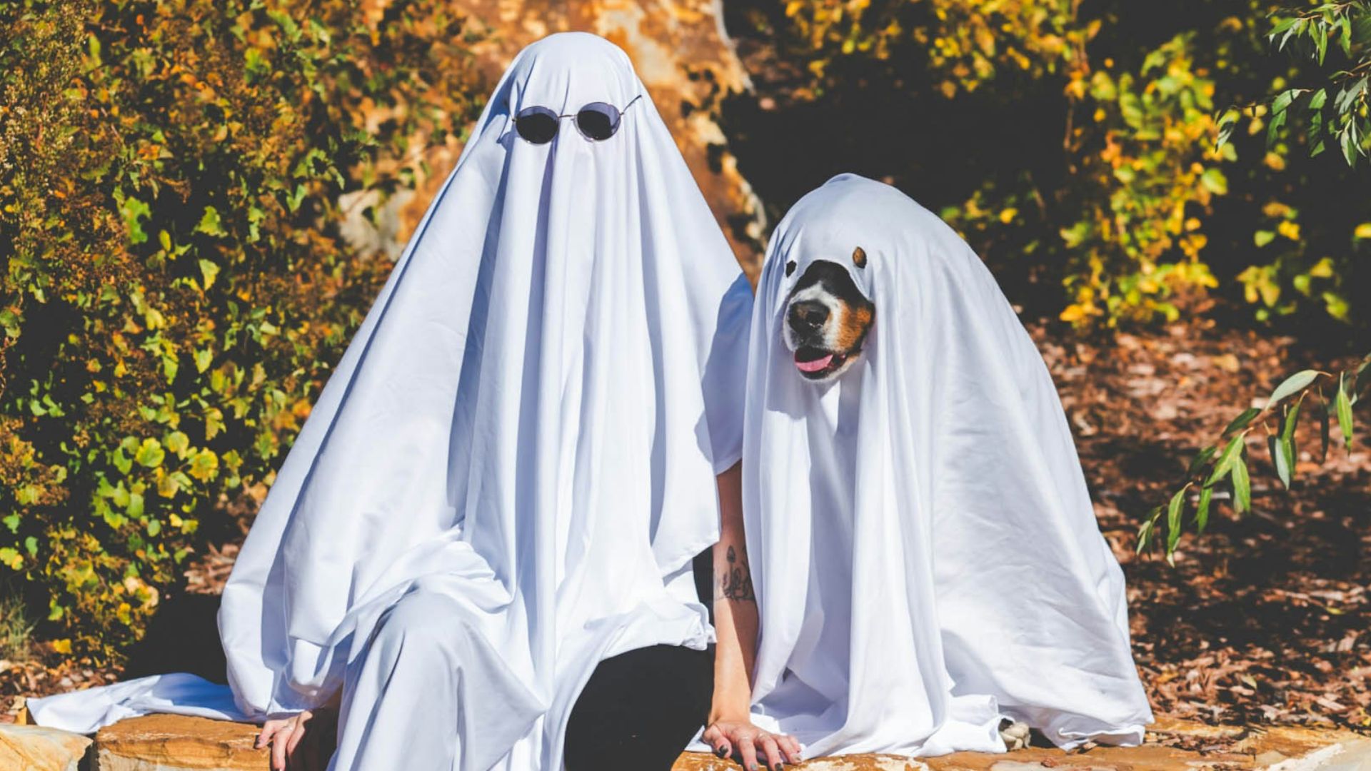 two people dressed as ghostes sitting on a rock