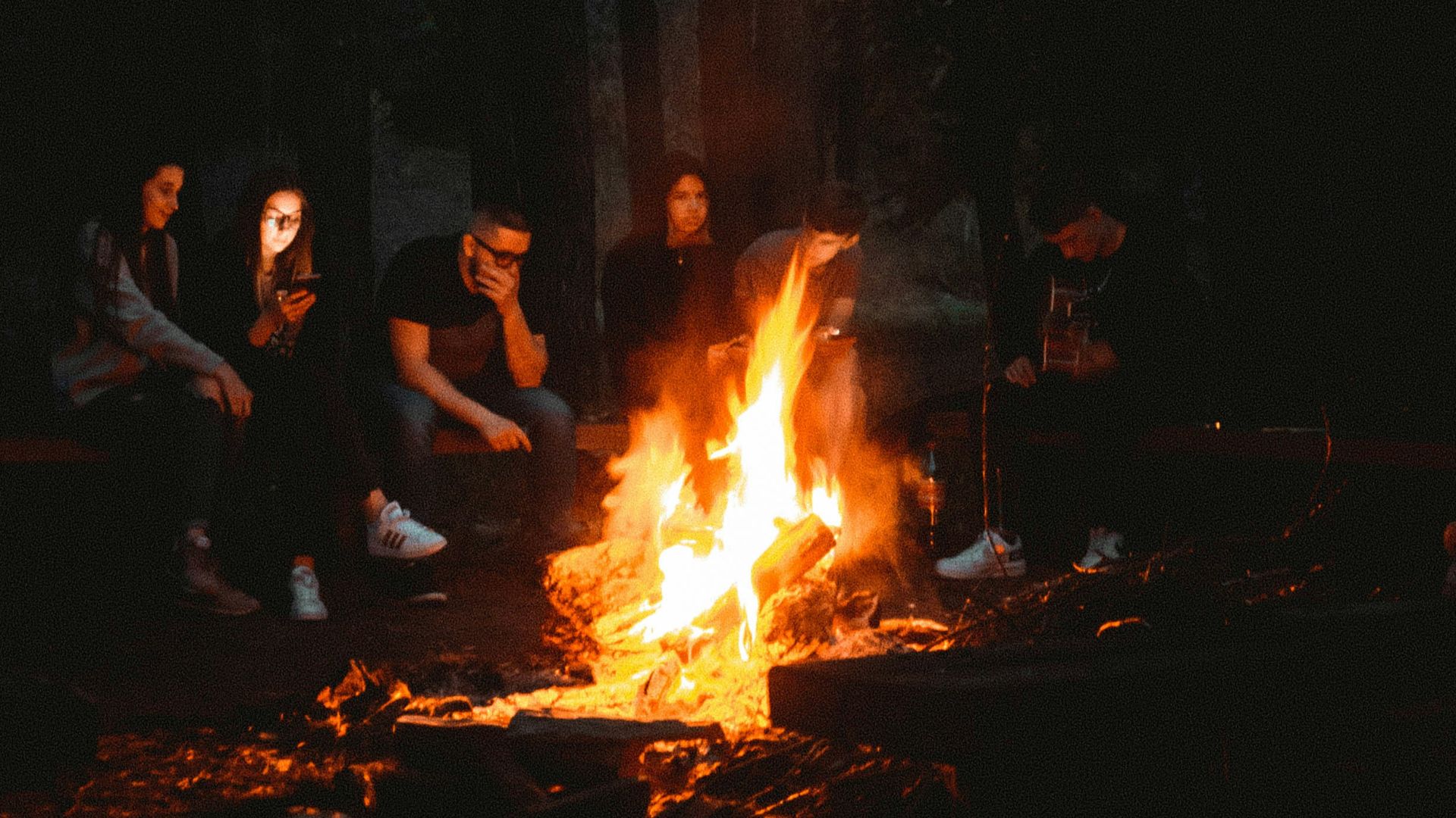 people in forest during night time