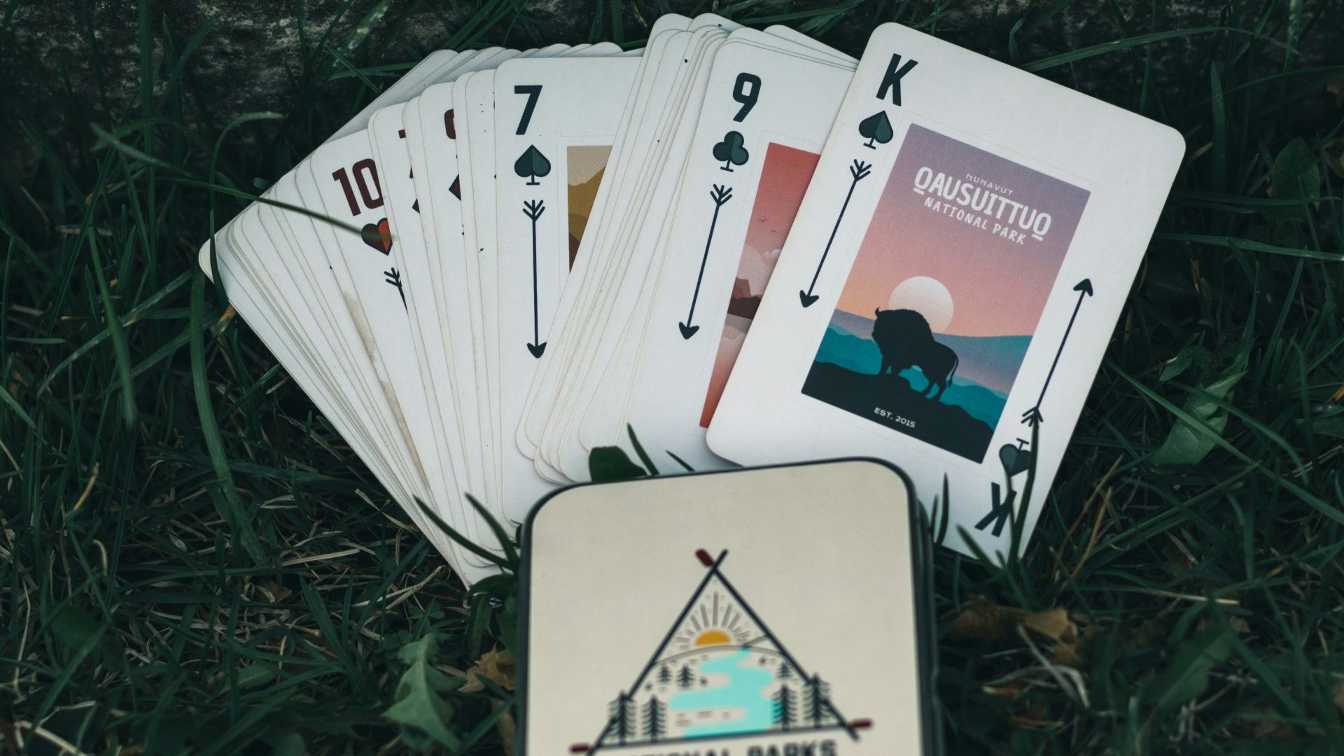 white and red cards on green grass