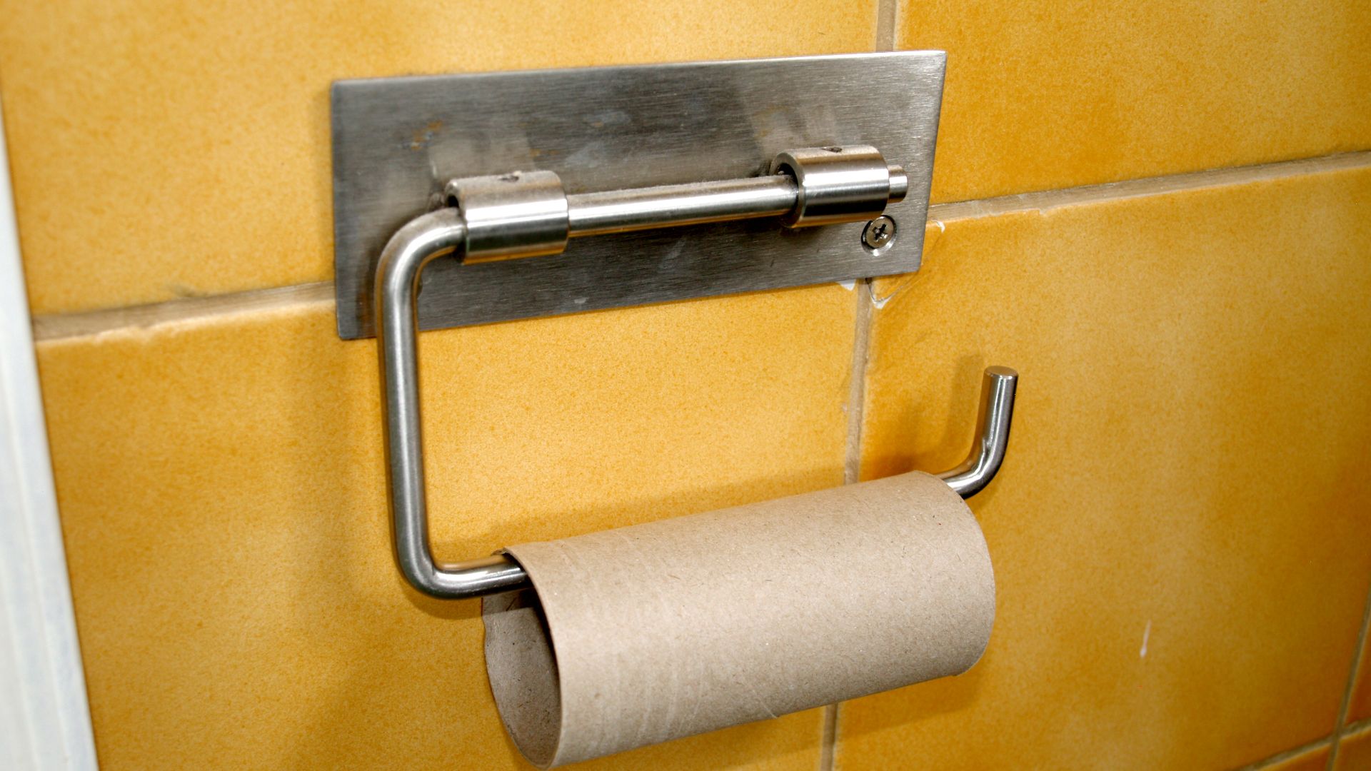 File:No toilet paper.jpg