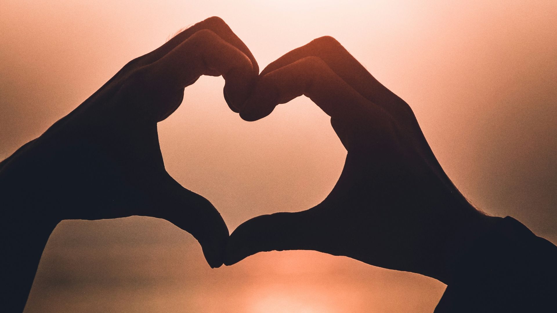 heart shape hand illustration