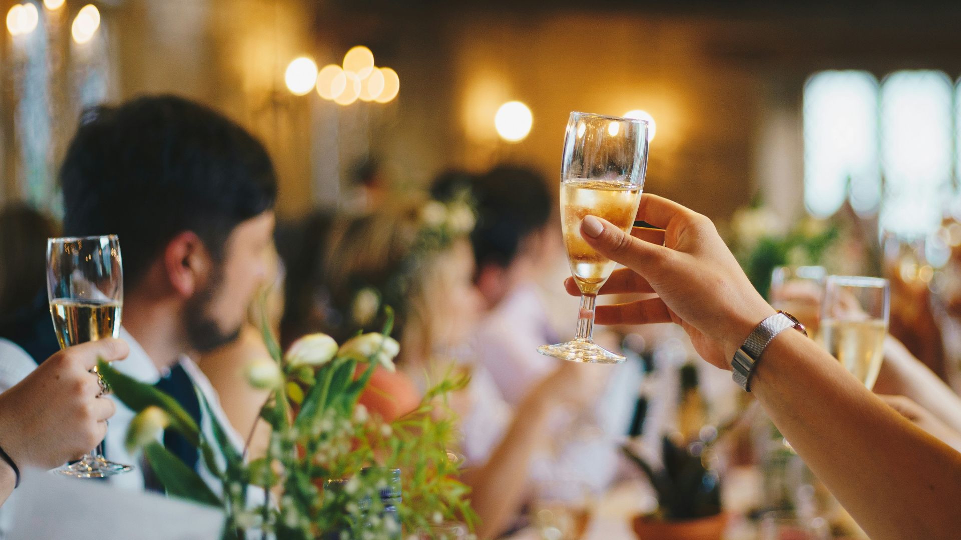 people raising wine glass in selective focus photography