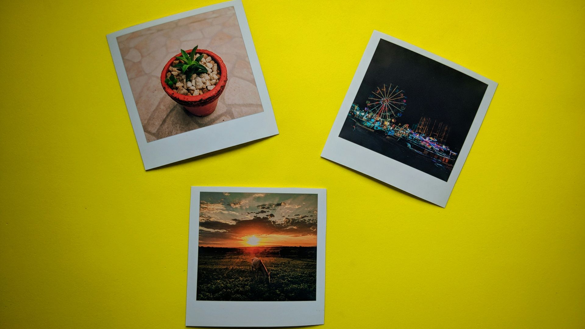 white and red floral painting