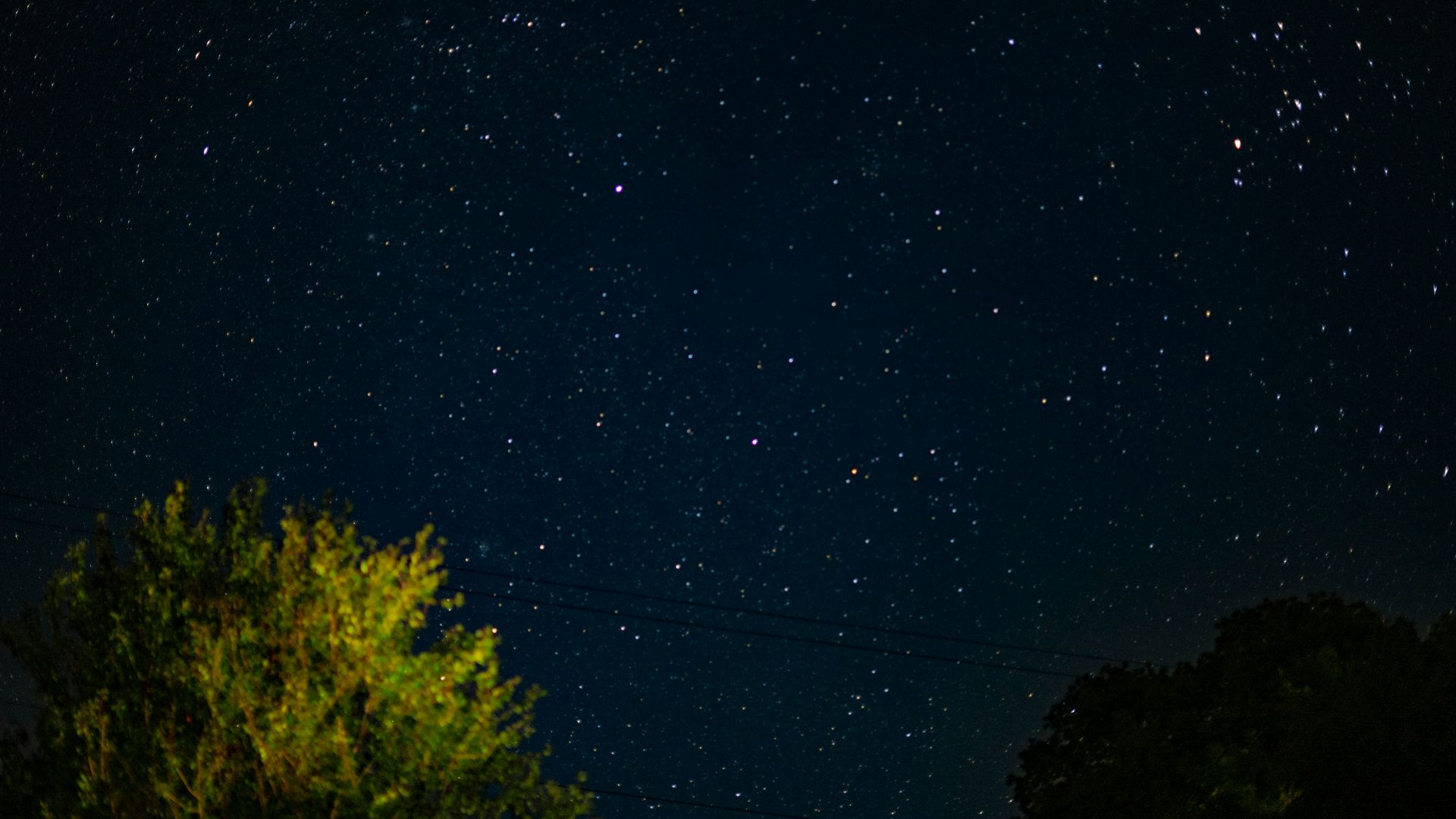 green trees under blue sky during night time