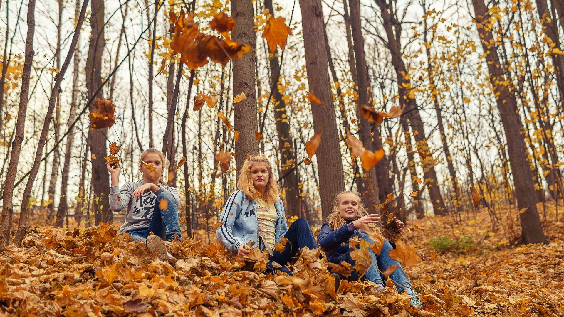 woman in gray sweater sitting on brown dried leaves during daytime