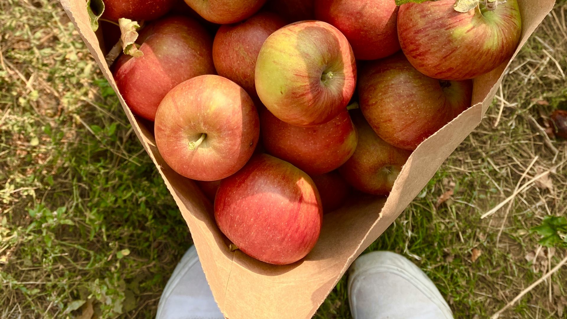 red apples in brown wooden crate