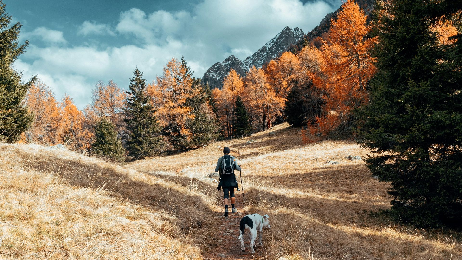 man walking on pathway