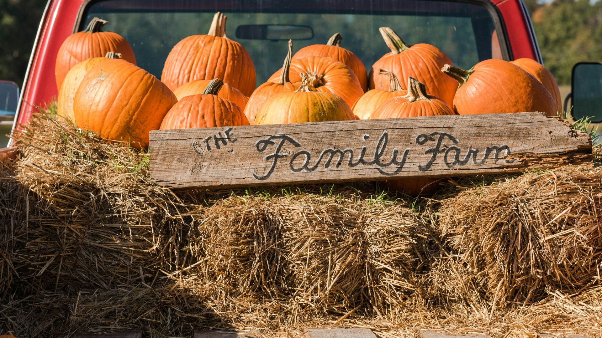 a red pick up truck filled with pumpkins
