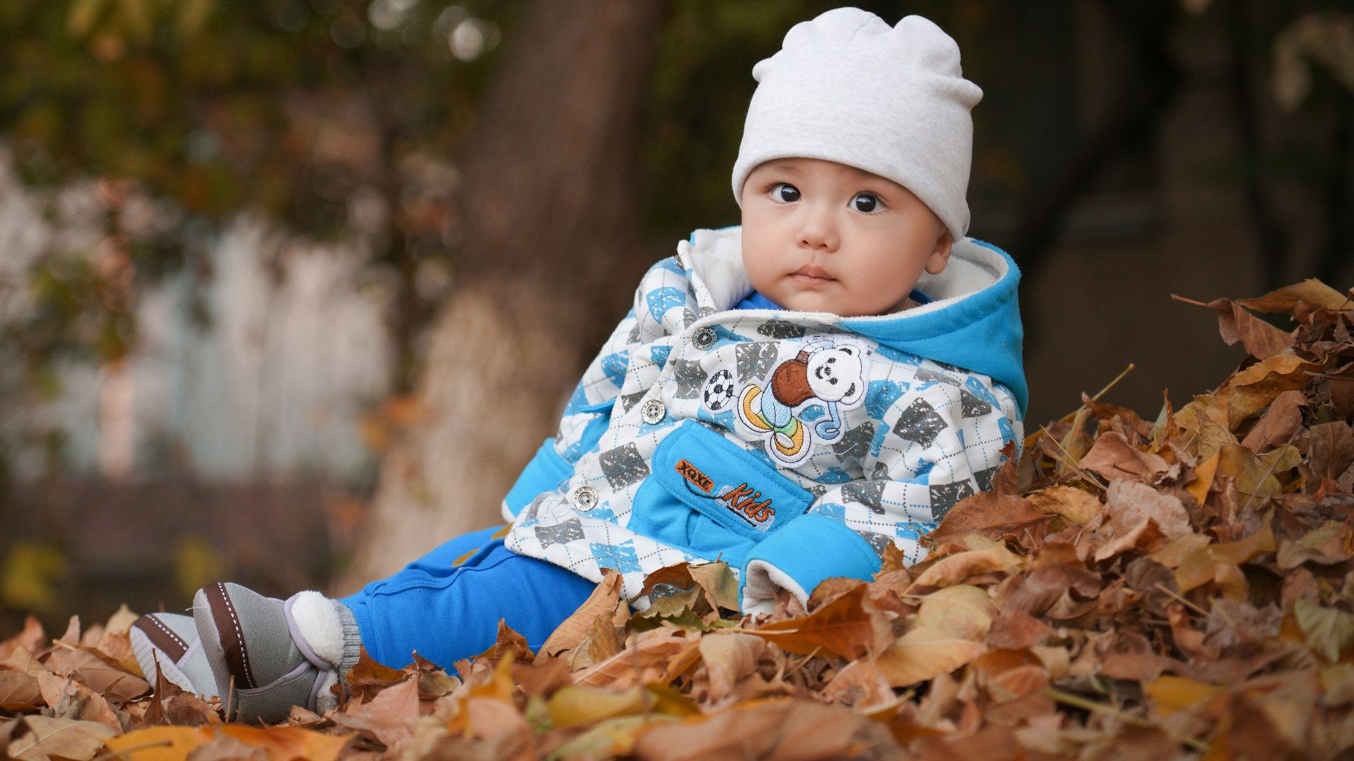a baby is sitting in a pile of leaves