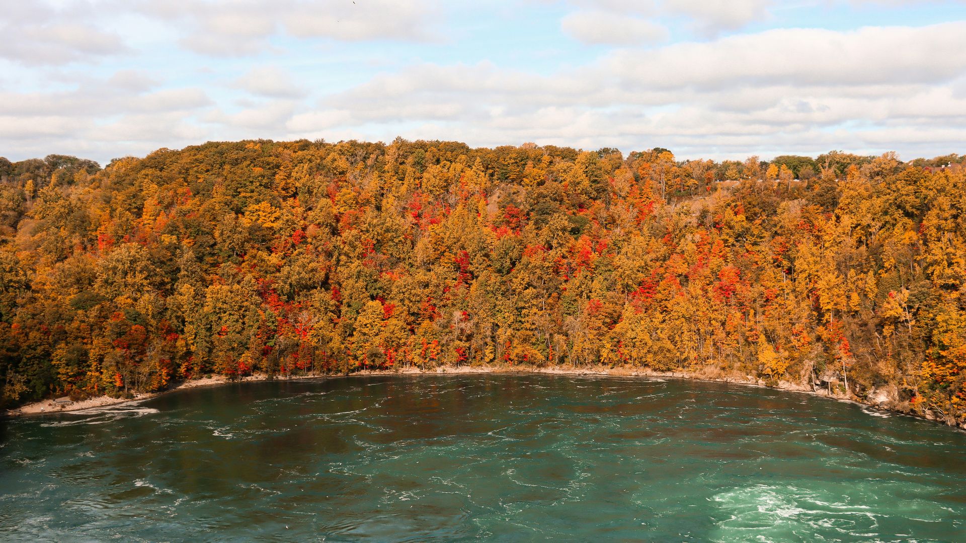 a body of water with trees around it
