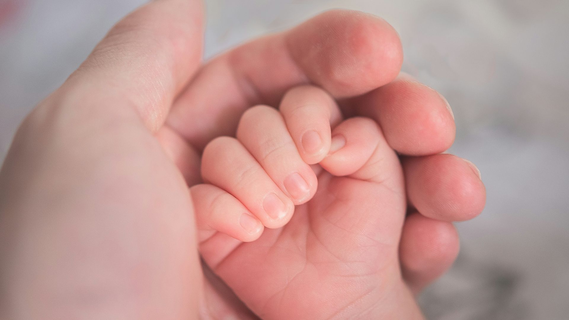 person holding baby's hand in close up photography