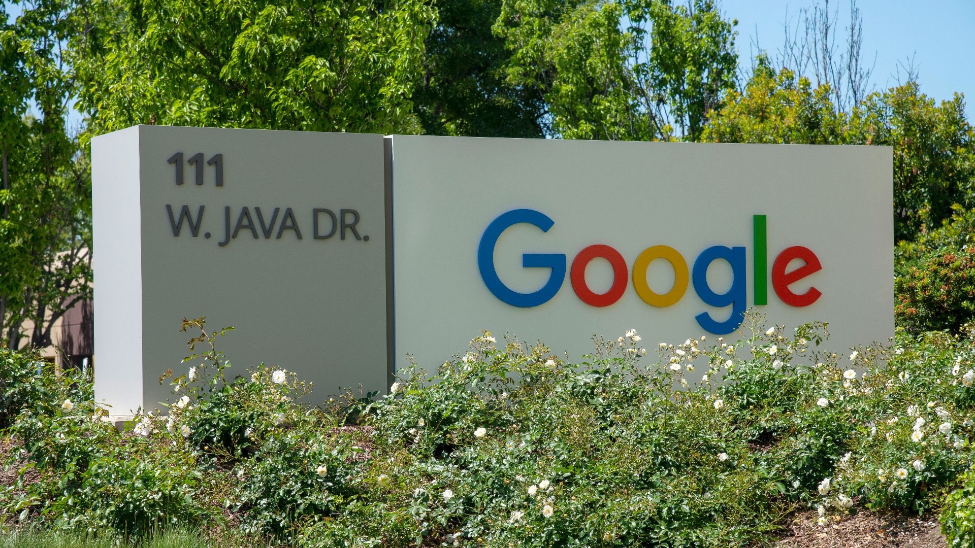 a google sign in front of some bushes and trees