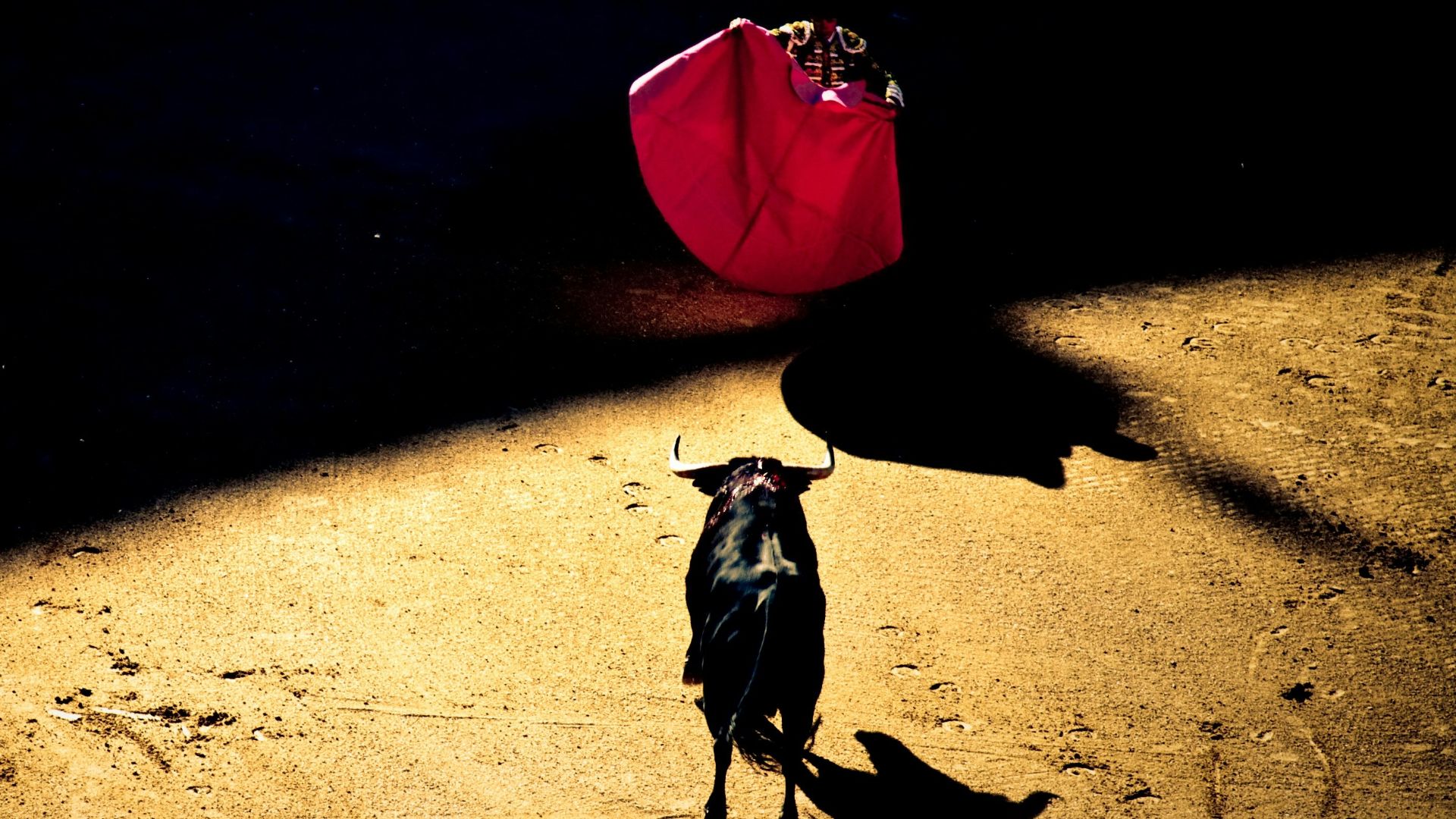 man holding red textile in front of black bull