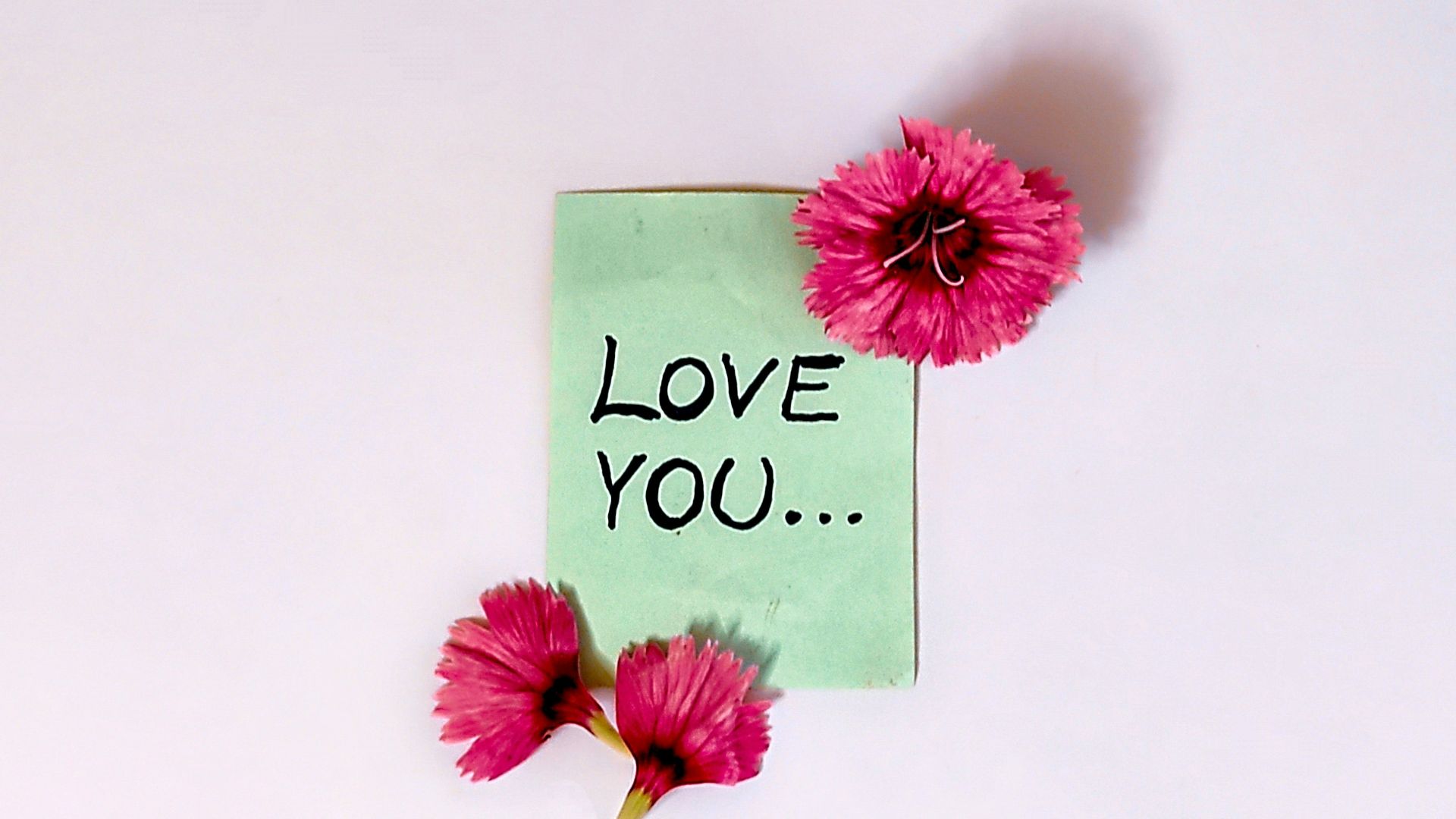 A piece of green paper with pink flowers on it