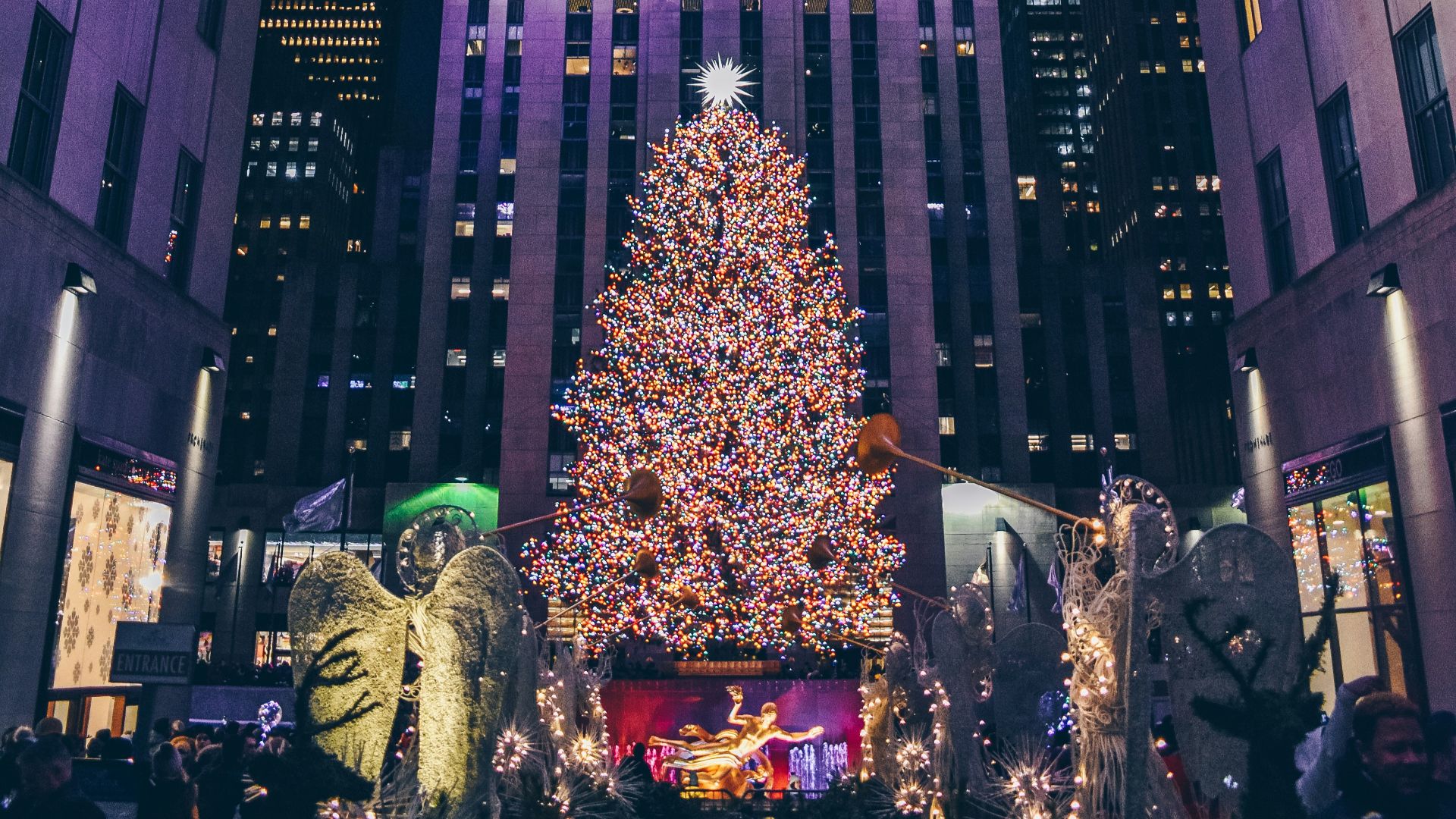 white and black high rise building
