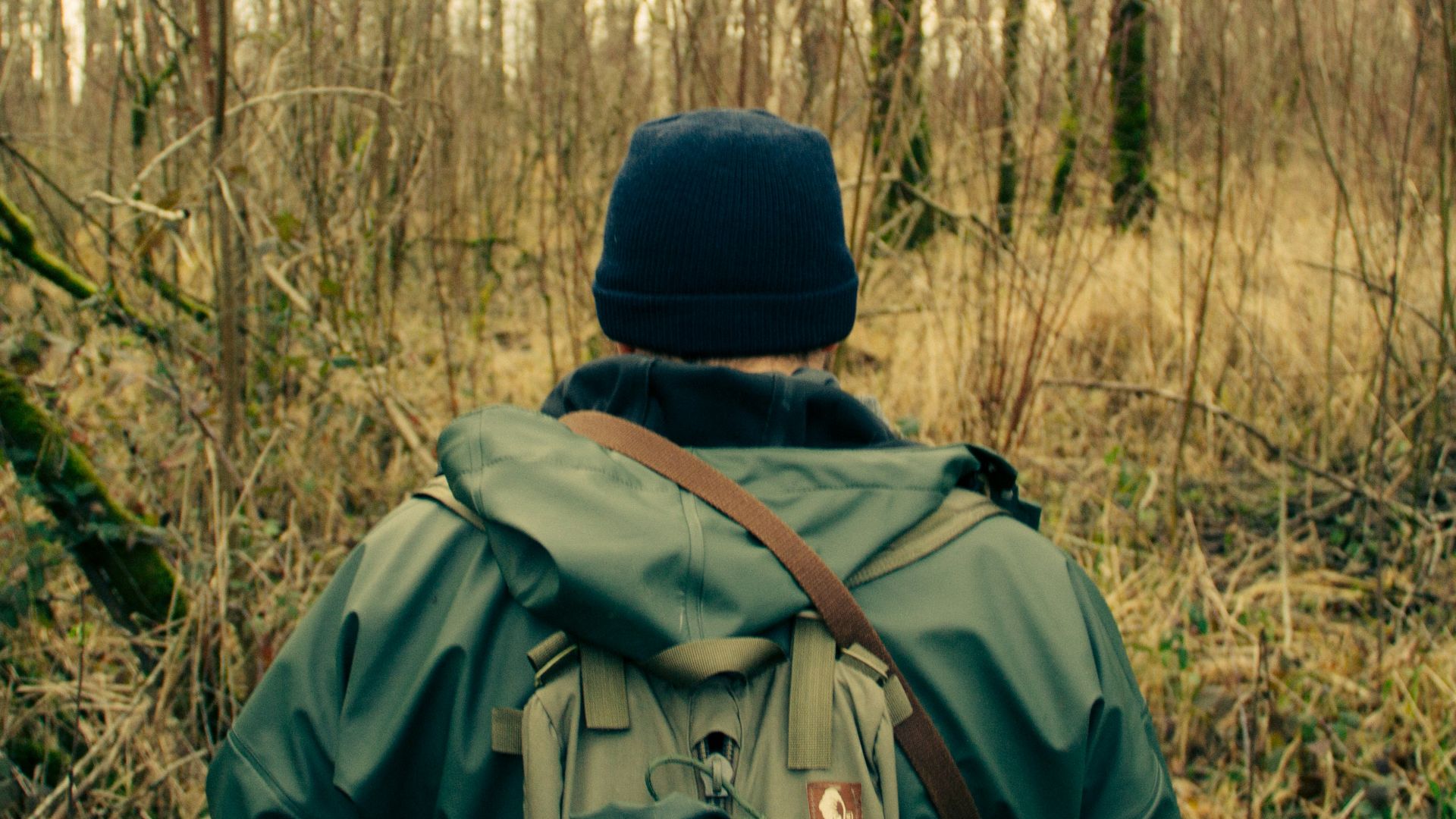 man walking on forest