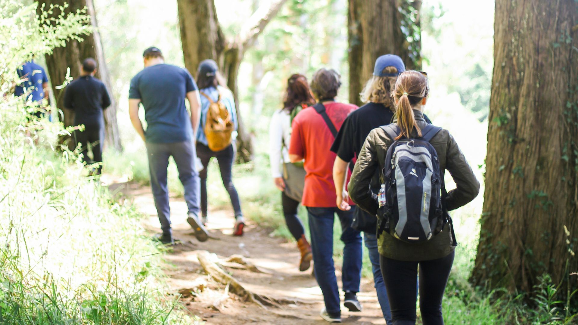people walking on dirt road between trees during daytime