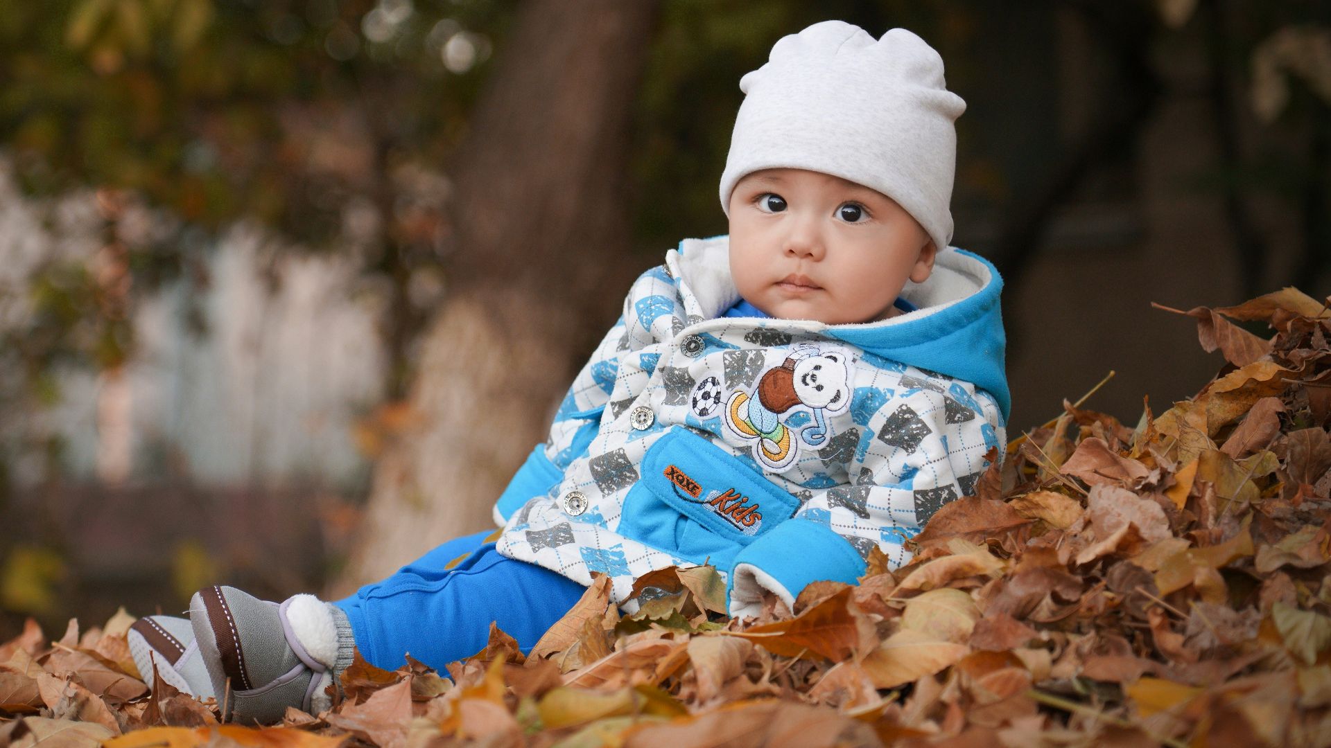 a baby is sitting in a pile of leaves