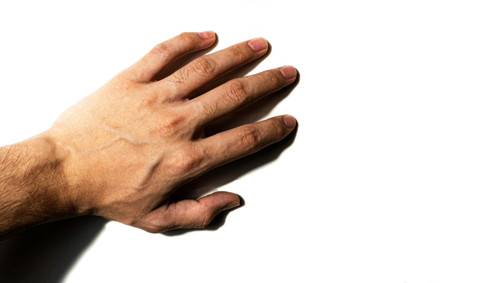 persons left hand on white background