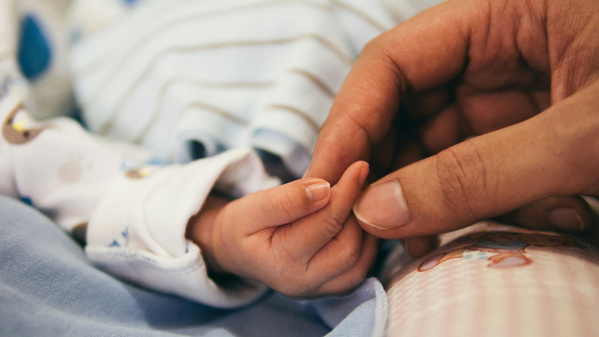 person holding baby's index finger