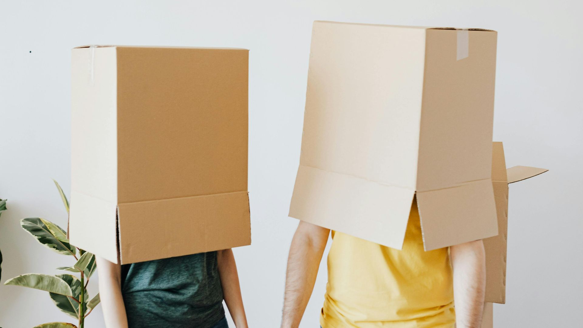 Photo By: Kaboompics.com