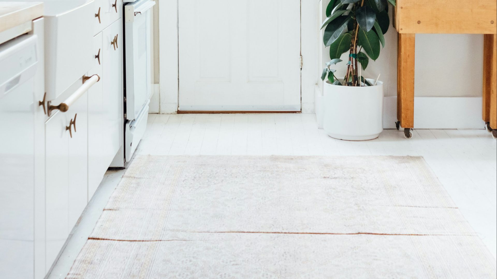 green potted leaf plant beside white wooden door