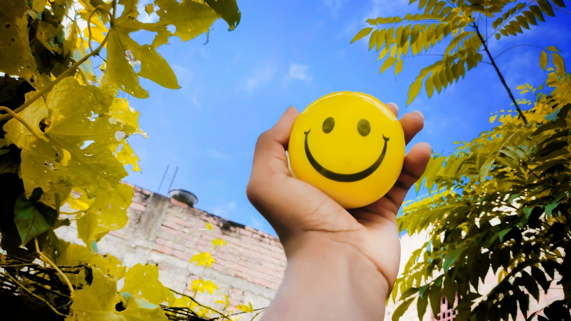 a hand holding a yellow smiley face ball