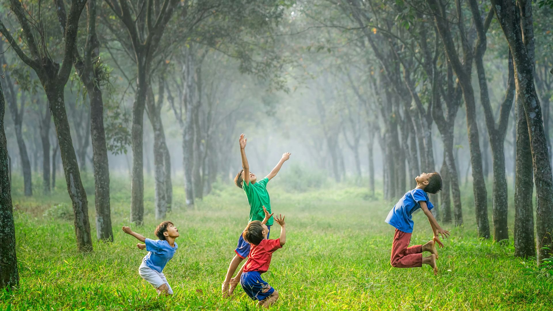 four boy playing ball on green grass