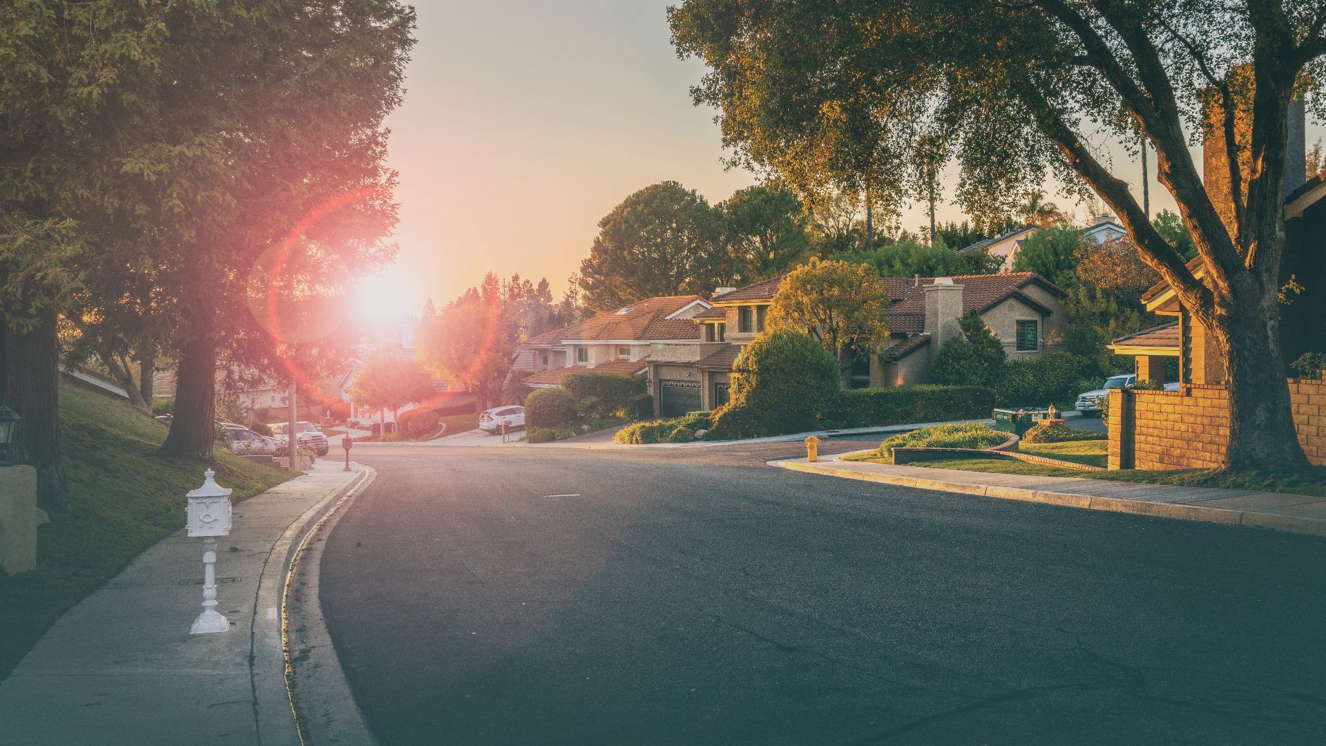 cars parked on side of the road during daytime