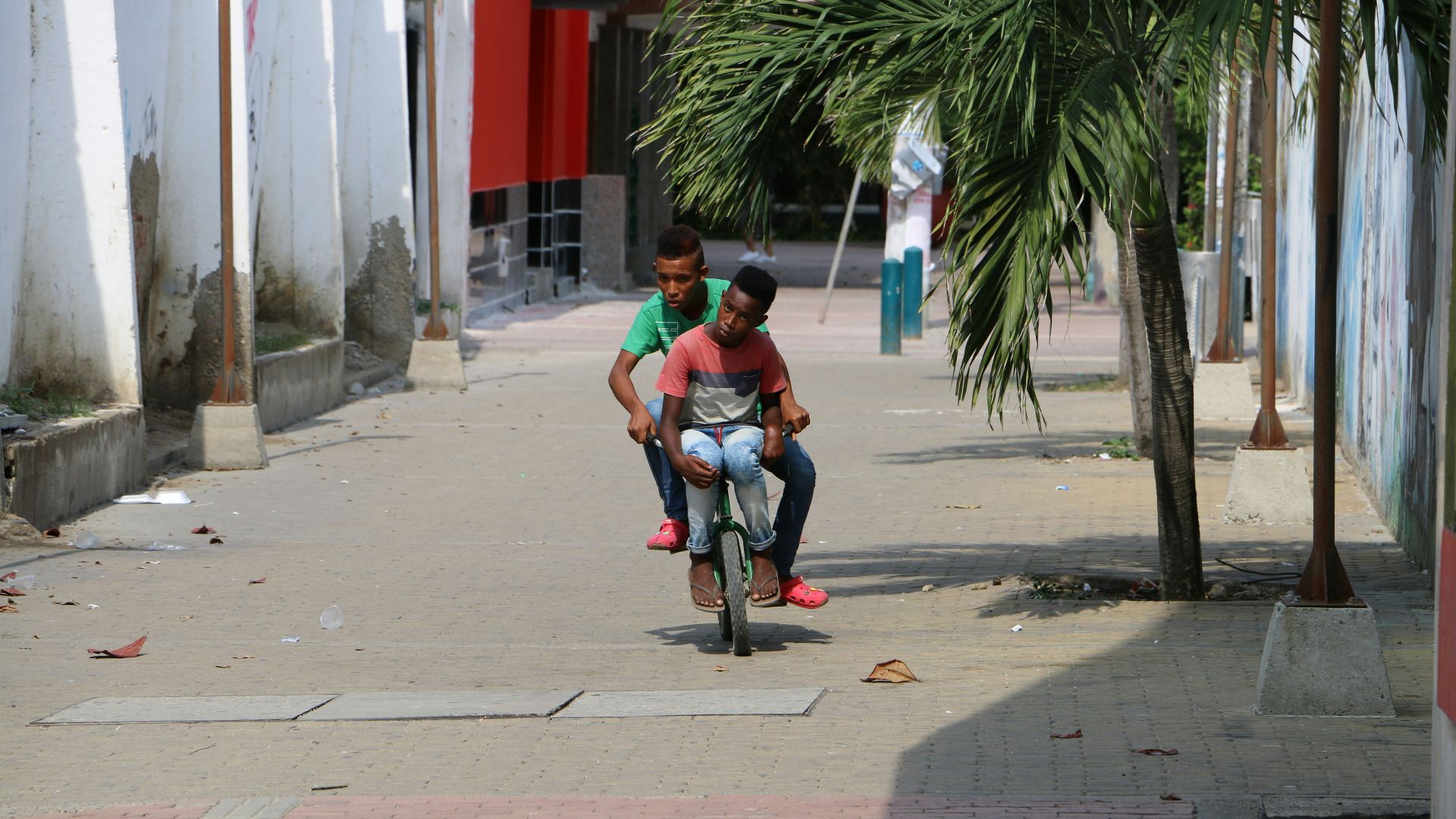 two men riding bicycle during daytime