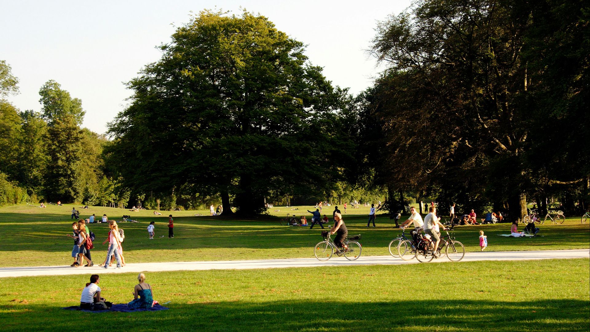 people playing soccer on green grass field during daytime