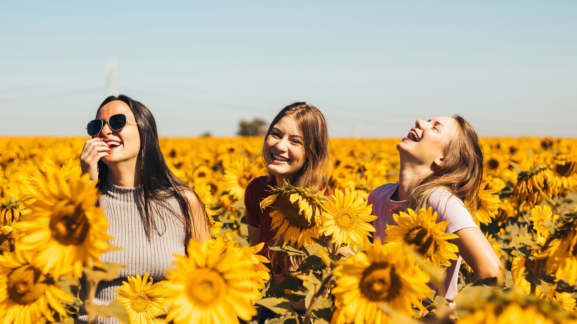 woman in white and black striped shirt standing on yellow sunflower field during daytime