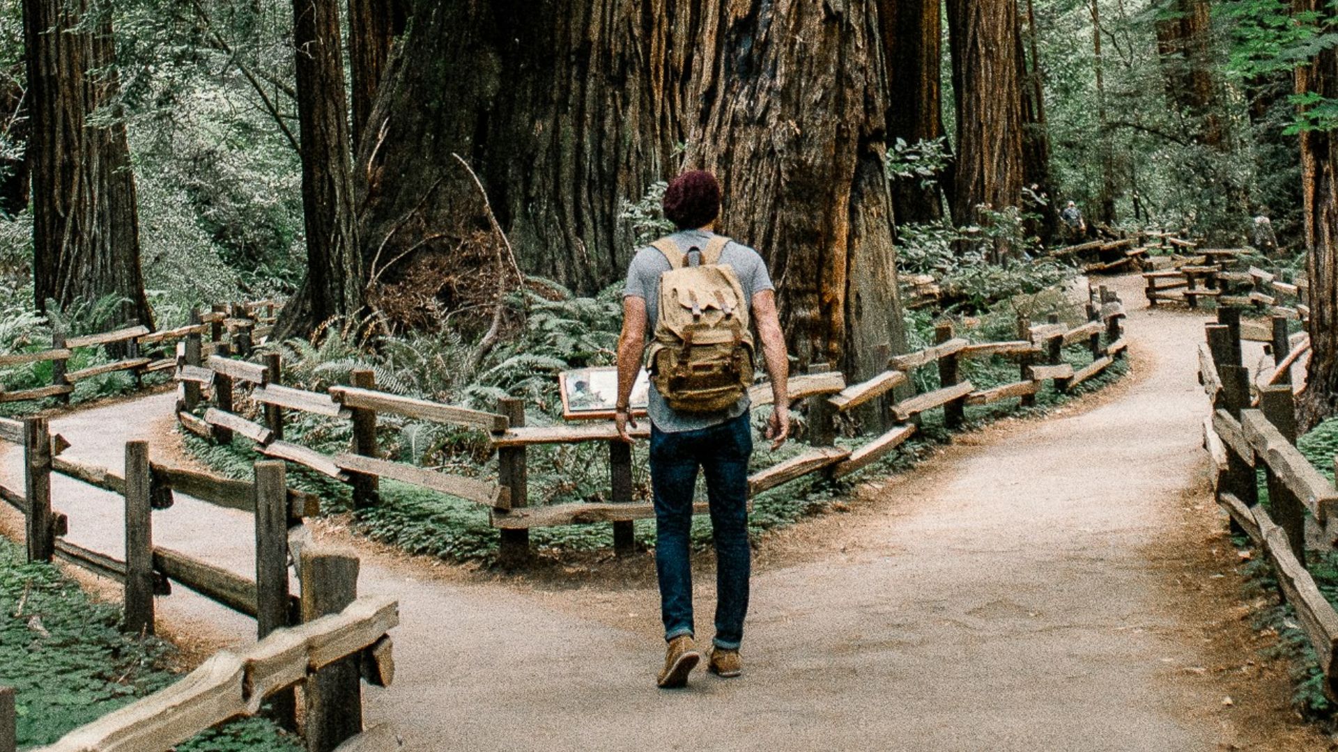 man wearing gray T-shirt standing on forest