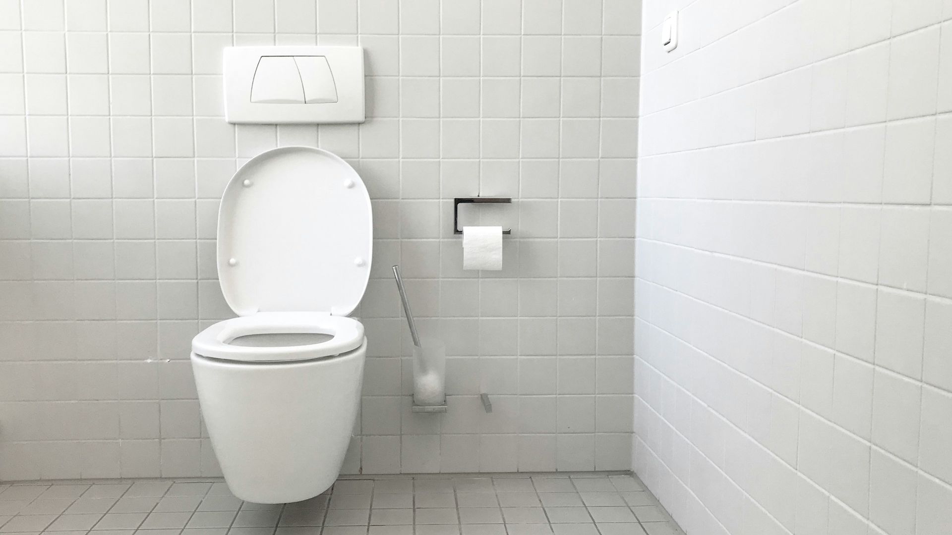 white toilet bowl with cistern