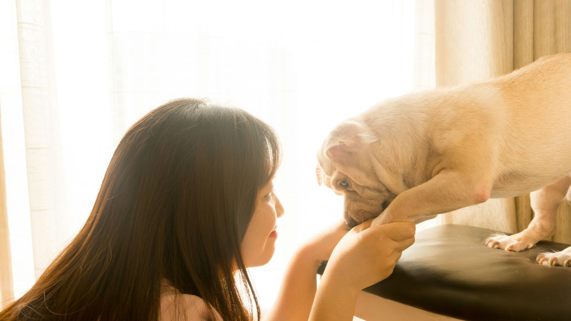 woman kissing brown short coated dog