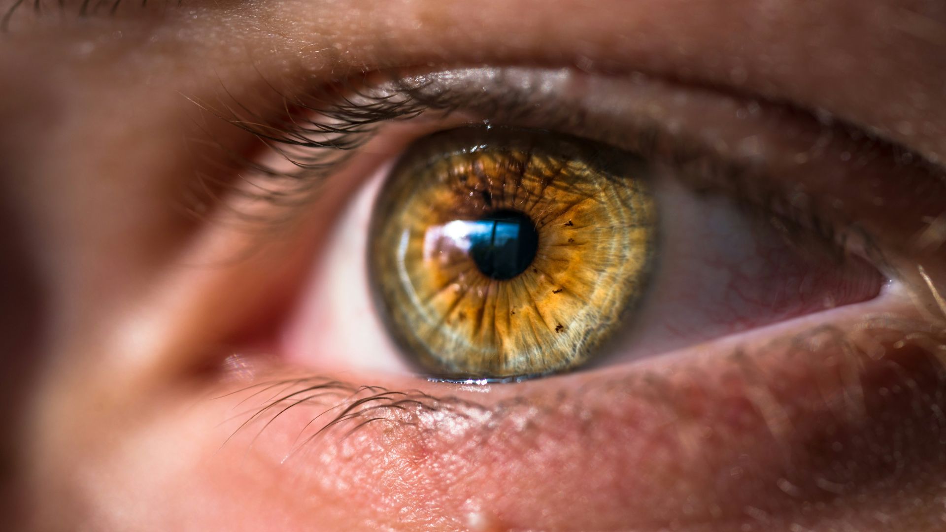 close-up photo of human eye